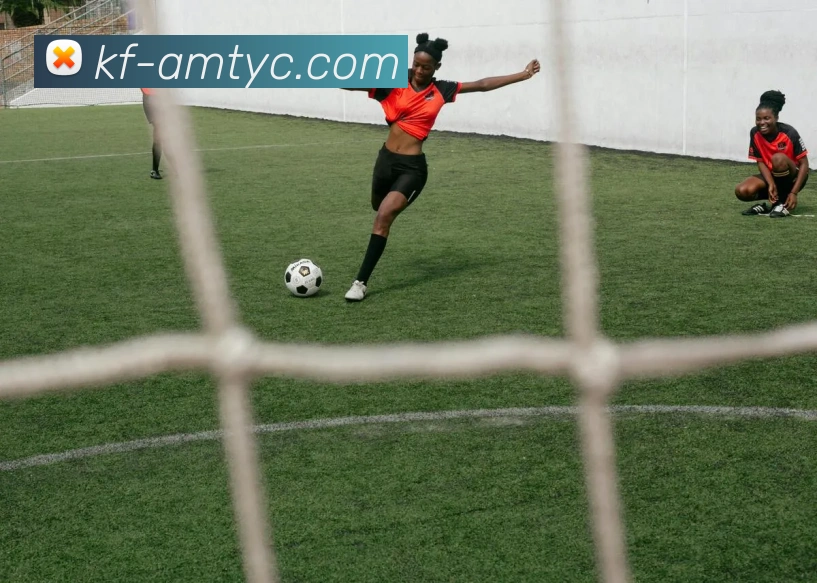 澳门太阳城平台生态图